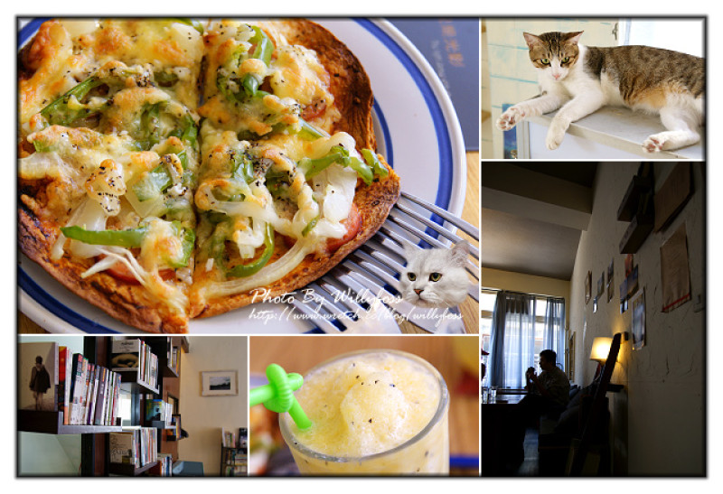 和貓貓共渡的午後時光－只是光影(桃園市)