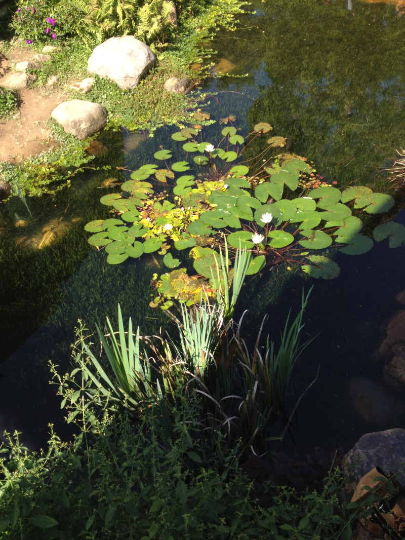 踏尋大自然　豐藏生態美景　