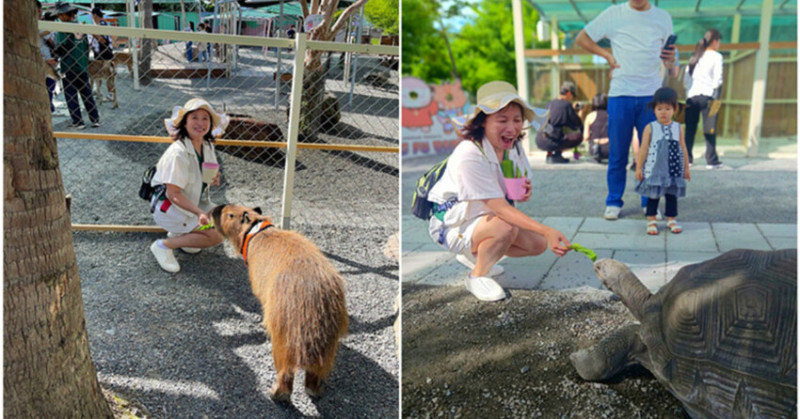 宜蘭親子農場推薦！星夢森林劇場一票雙入園，動物互動與戲水一次滿足。