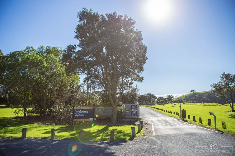 紐西蘭 | 北奧克蘭 North Auckland | Tawharanui Regional Park