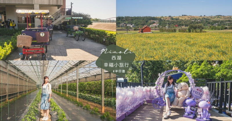 苗栗西湖景點推薦︱欣賞田野好風光 體驗綠色農事 沐浴紫色浪漫