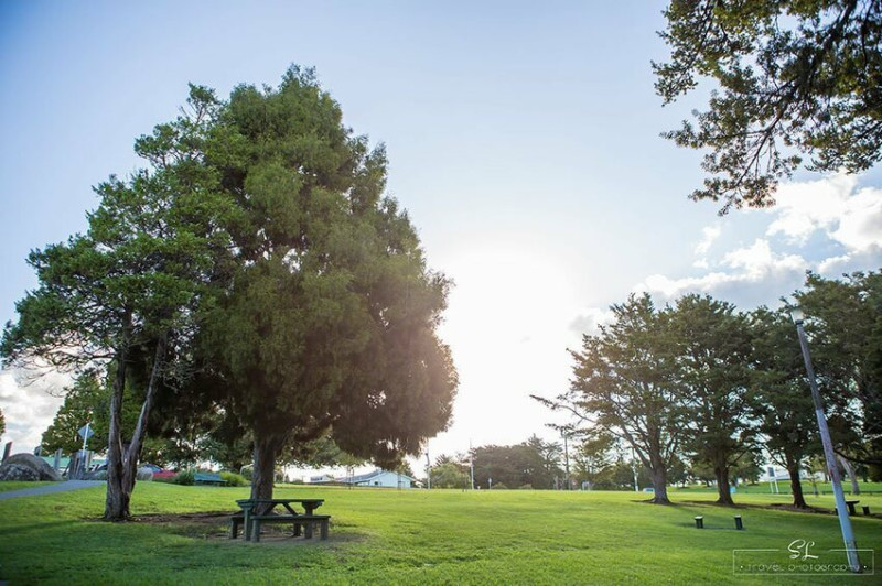 紐西蘭 | 北島北 Northland | 璜加雷瀑布 Whangarei Falls