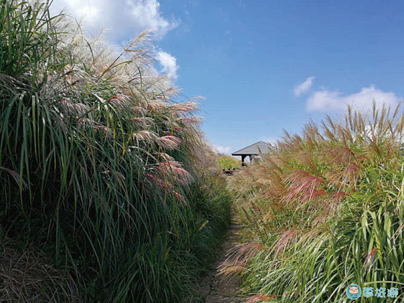 走走~大屯山主峰連峰步道