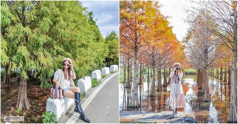 桃園蘆竹景點-双源魚菜共生農場旁的唯美夢幻水漾倒影，秋冬季節限定不能錯過的免費秘境美景/IG打卡聚集地