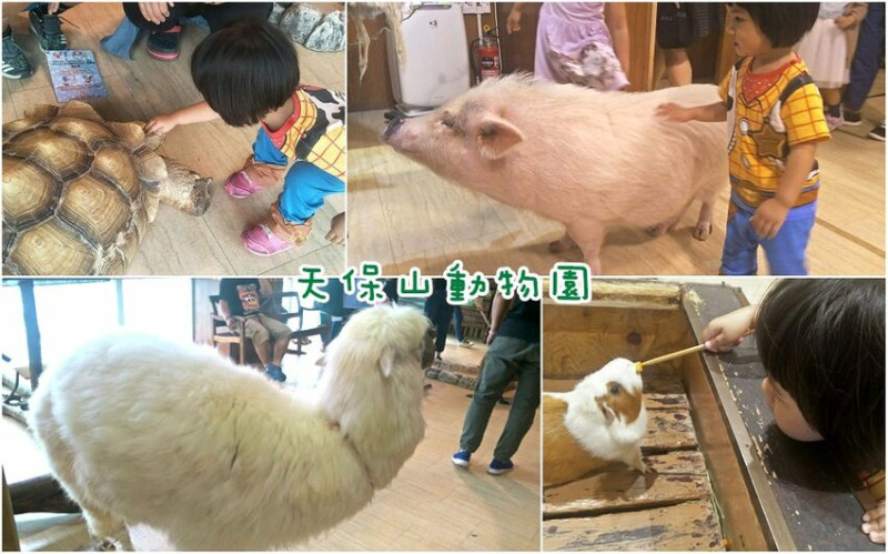 天保山動物園│大阪港景點，讓小孩跟動物多接觸的全新體驗。 - 愛伊特candy的分享樂園