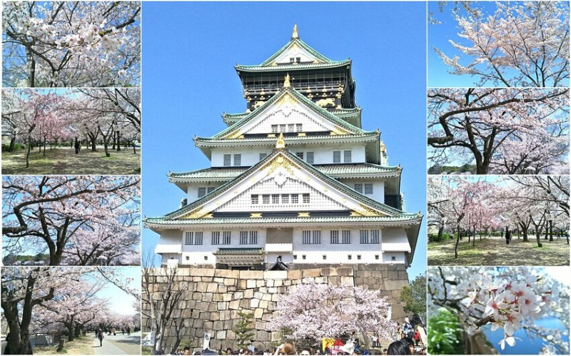 2018大阪城公園│第一次自由行就遇到滿開櫻花，徜徉在浪漫粉紅雨中~ - 愛伊特candy的分享樂園