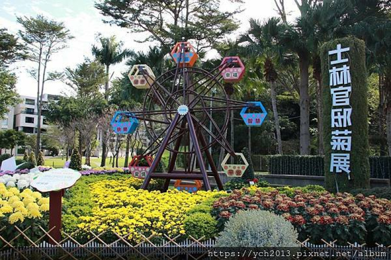 士林區景點推薦／2021士林官邸菊展－菊來運轉