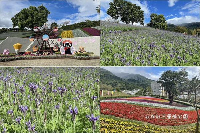 [台北春節走春景點] 北投社三層崎公園 ~ 第二期花季登場，大片薰衣草花田，台版富良野浪漫紫色花海