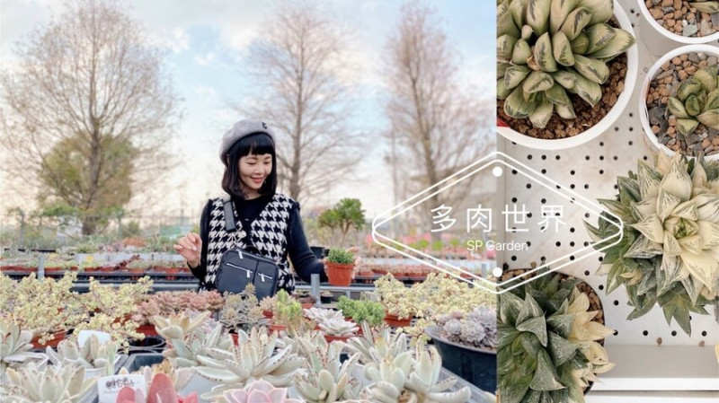 彰化田尾SP Garden多肉植物園、一顆多肉可以買一個香奈兒