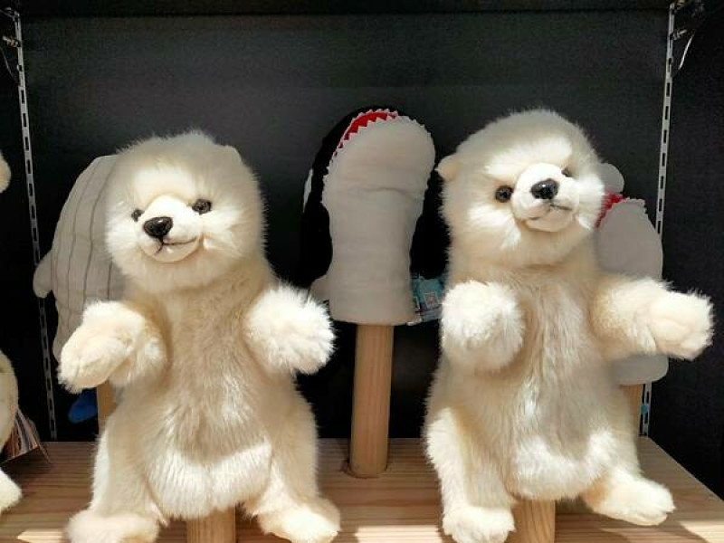 旅遊遊記"桃園" 新型都會式Xpark水族館 -不出國也能享受滿滿的海洋世界!!