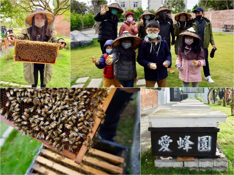 【新竹親子景點】竹北愛蜂園蜜蜂生態體驗活動｜近距離接觸蜜蜂、採收蜂蜜，品嚐蜂蜜醋/咖啡/蜂蜜釀酒