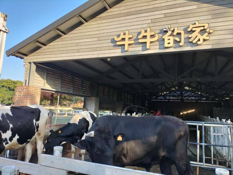 出發餵牛牛&買生巧克力囉-雲林千巧谷牛樂園牧場