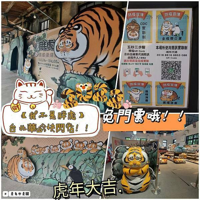 虎年可愛的「我不是胖虎」台北華山快閃店！！看看可愛的胖虎放鬆心情一下吧！！