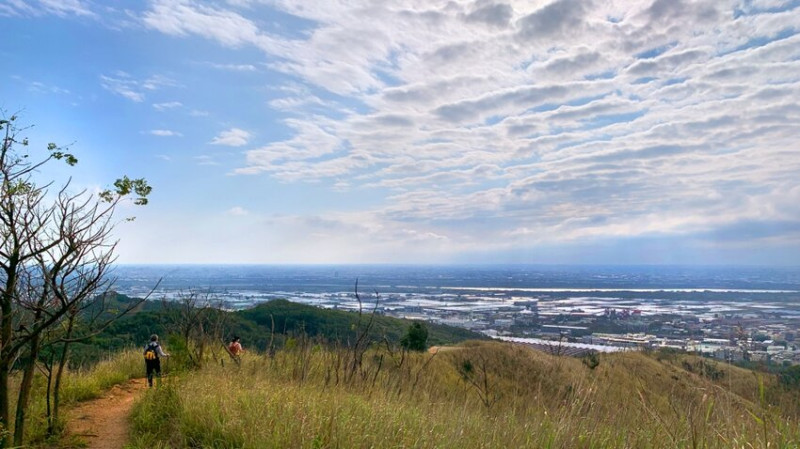台中大肚｜萬里長城．旗開得勝步道｜藍天枯木．漫步山脊大景