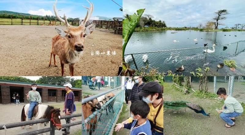 花蓮免費景點 ▶ 台開心農場 ▶ 可愛小鹿斑比、餵食動物、騎馬、大草皮 順遊新天堂樂園、免門票親子旅遊!