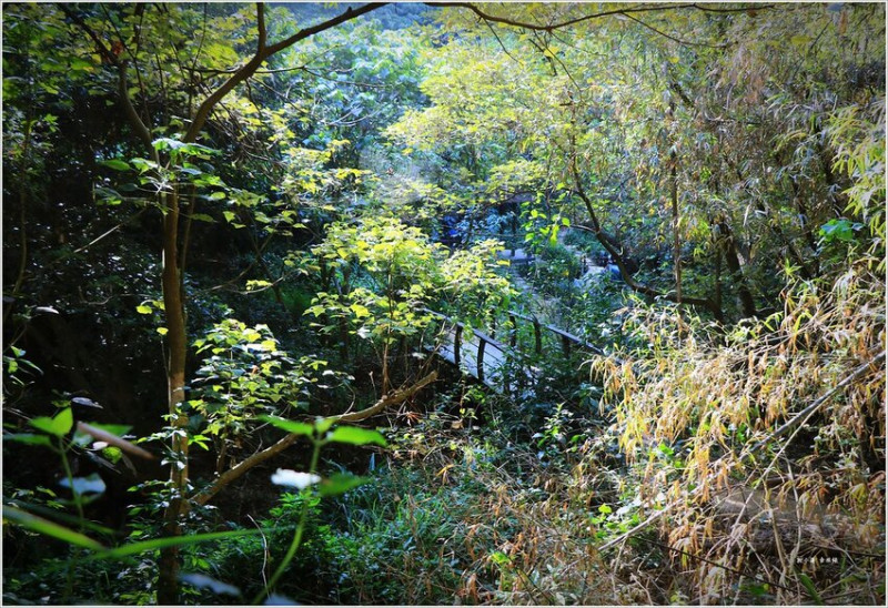 【高雄‧大社】大社觀音山風景區‧高雄十大名山之一，適合全家老小踏青，難易程度不好說