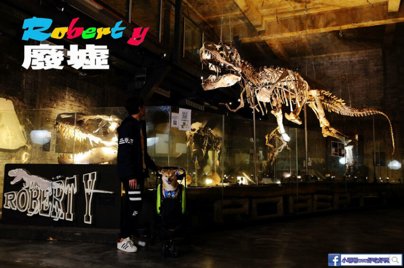 台版侏儸紀公園！台灣唯一暴龍真品化石！工業廢墟與超現實藝術裝置的私人博物館