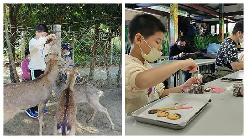 屏東.恆春-原來巧克力長在樹上?!大開眼界的親子景點，還有可愛梅花鹿~大大的莊園好舒服