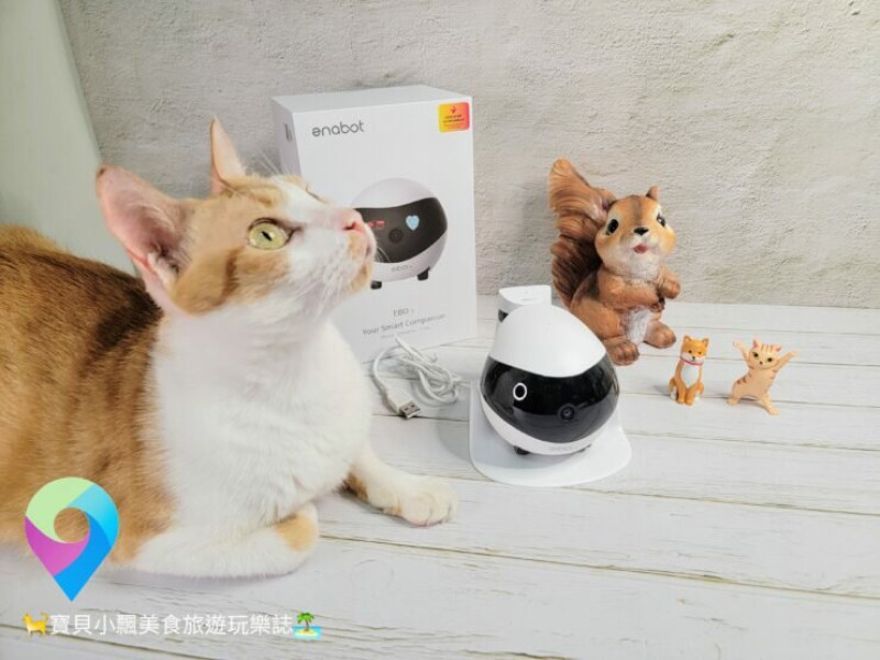 [智能開箱]寵物互動、居家守護好夥伴 會到處跑的智能攝影機 EBO SE 智慧居家攝影機