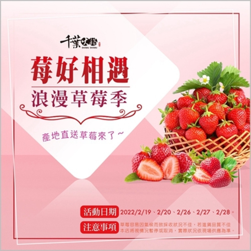 台中「千葉火鍋文心尊爵館」 限時七天祭出殺手鐧 「草莓吃到飽」