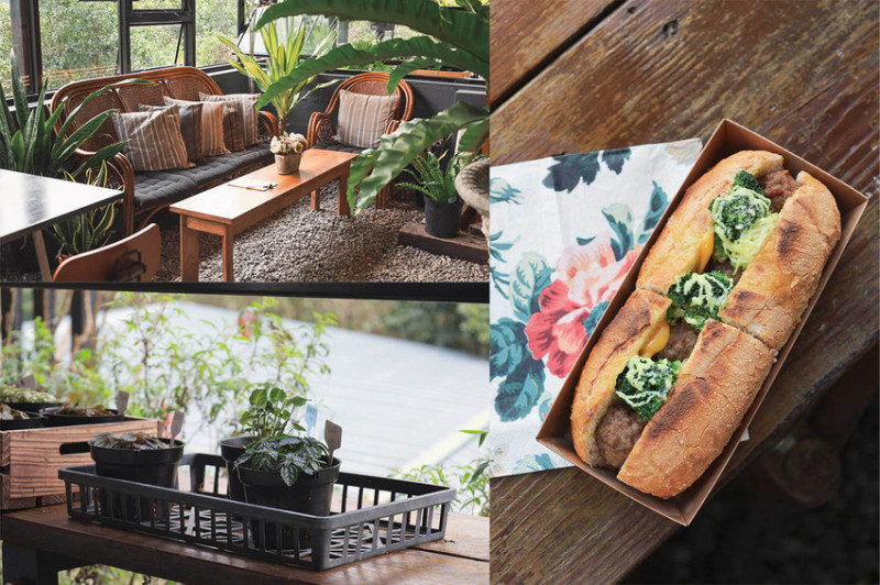 陽明山景觀咖啡廳．野人花園 / 不限時 / 寵物友善 / 療癒森林系咖啡廳