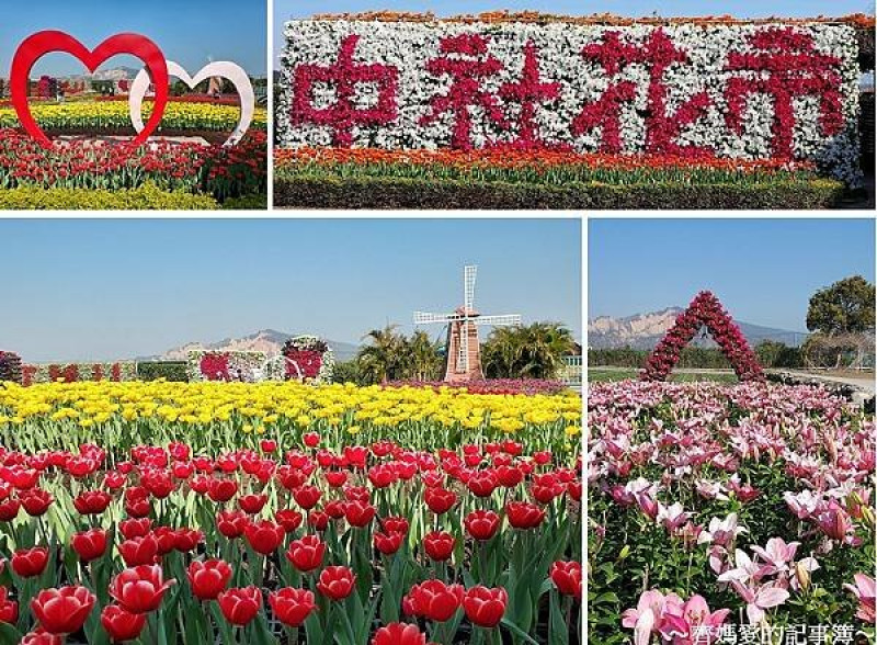 台中后里．中社觀光花市 / 鬱金香花季