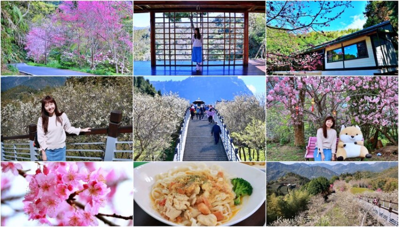 雲林草嶺櫻花季｜雲林古坑景點暢遊嘉義梅山寒溪呢森林人文叡地.青山坪咖啡農場.草嶺櫻花林道.親子.家庭一日
