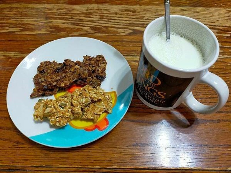 優質低熱量的輕食推薦-惟朵裸食纖維燕麥脆片/惟朵裸食纖維燕麥棒-義式香蒜/法式可可!!