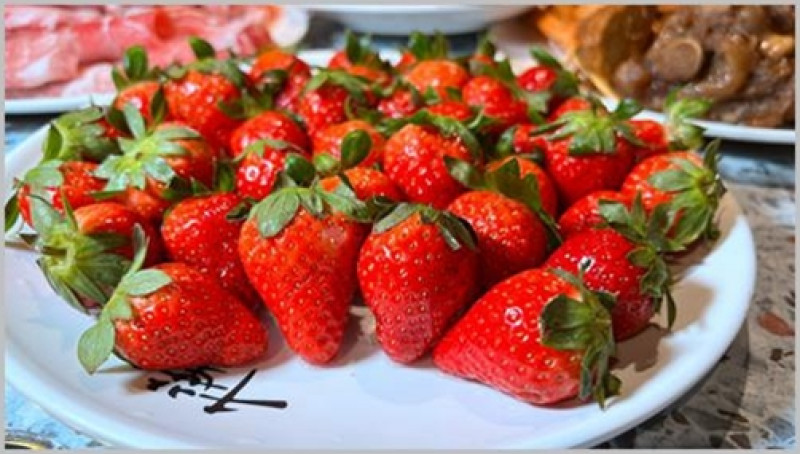 限時三月 周休二日 共八天 「千葉火鍋三重尊爵館」使出壓箱底「草莓吃到飽」