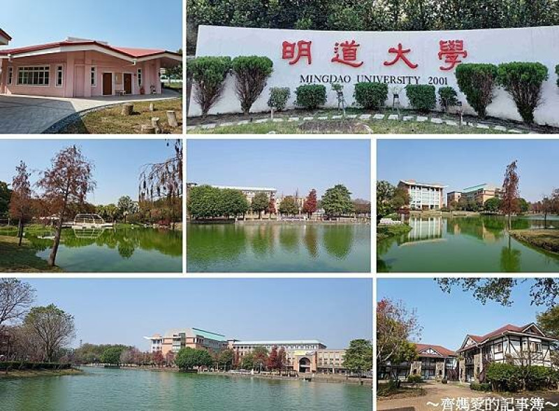 彰化埤頭．明道大學 / 蠡澤湖 / 落羽松