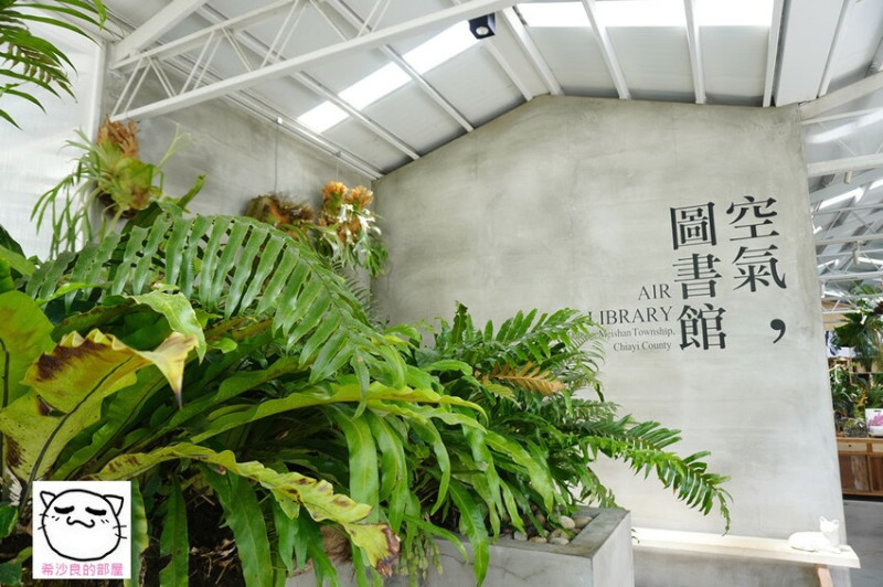 大阿里山旅遊（一）。拍美照。騰雲霧。識花草──太平雲梯、空氣圖書館