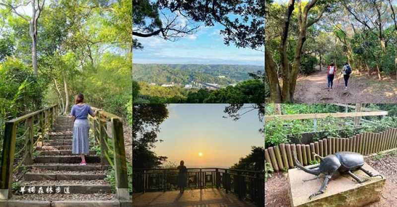 桃園步道景點 ▶ 羊稠森林步道 ▶ 甲蟲生態、遼闊海陸空視野、全台百大必訪步道!