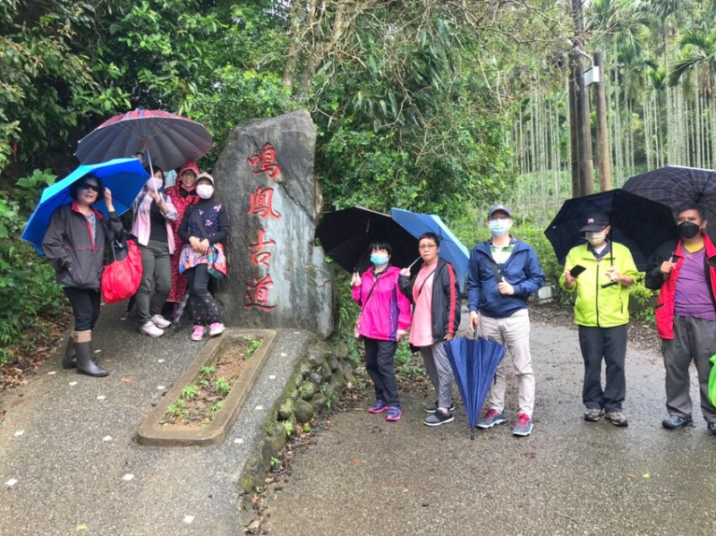 苗栗景點-[鳴鳳古道]下雨天出遊，點到為止
