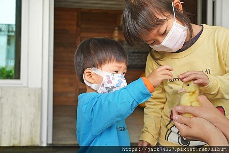 {宜蘭景點}礁溪親子景點：「甲鳥園」整齊明亮舒適的五星級清水模鴨寮，門票全額抵消費可以吃到美味鴨蛋糕，還可以近距離摸小鴨餵鴨子喔！