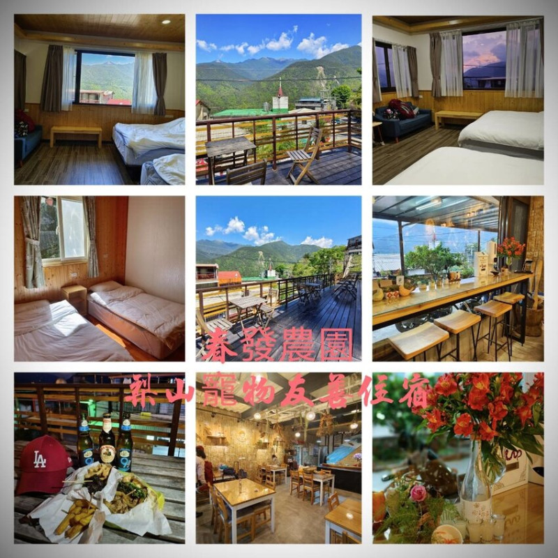 【台中.梨山】春發農場寵物友善住宿。早餐彭派自製麵包+三款自製果醬+自製豆腐乳超美味