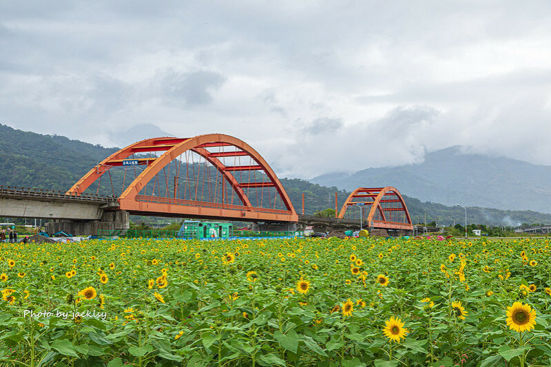 220203花蓮-客城鐵橋+北回歸線標誌公園+吉蒸牧場+大農大富平地森林園區