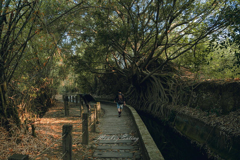 【台中烏日】知高圳步道｜挑戰好漢坡欣賞180度超美展望，水圳步道散步健行，親子步道推薦