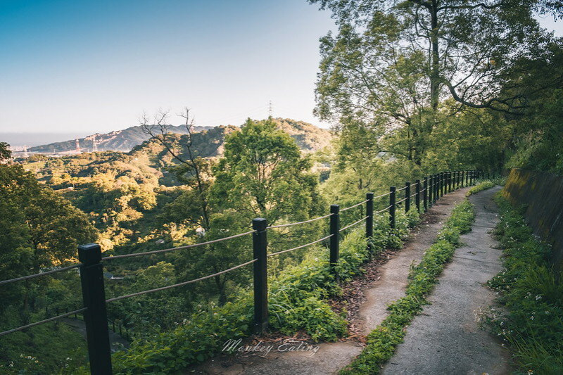 【台中后里】鳳凰山登山步道｜接觀音山O型路線，適合親子健行的竹林步道，登頂展望景觀優美，附停車場