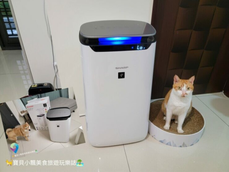 [家電開箱]高濃度自動除菌離子25000 淨化空氣、除臭、除菌一次搞定 SHARP 夏普 自動除菌離子空氣清淨機(FP-J60T-W)