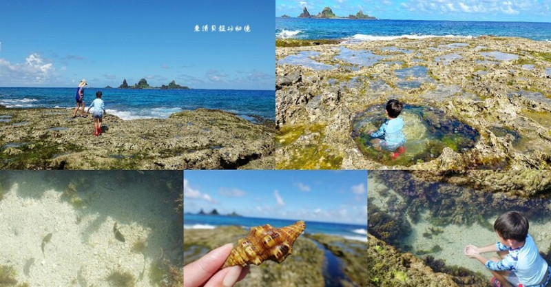 蘭嶼玩水秘境 ❙ 東清貝殼砂 ❙ 美到爆! 不用潛水就能見到漂亮的海底世界!