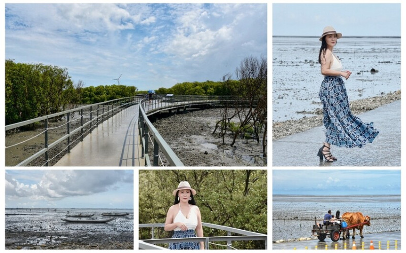 彰化芳苑鄉｜海天一色夕照絕美秘境 芳苑濕地紅樹林 海空步道 海牛採蚵文化 彰化必遊景點推薦