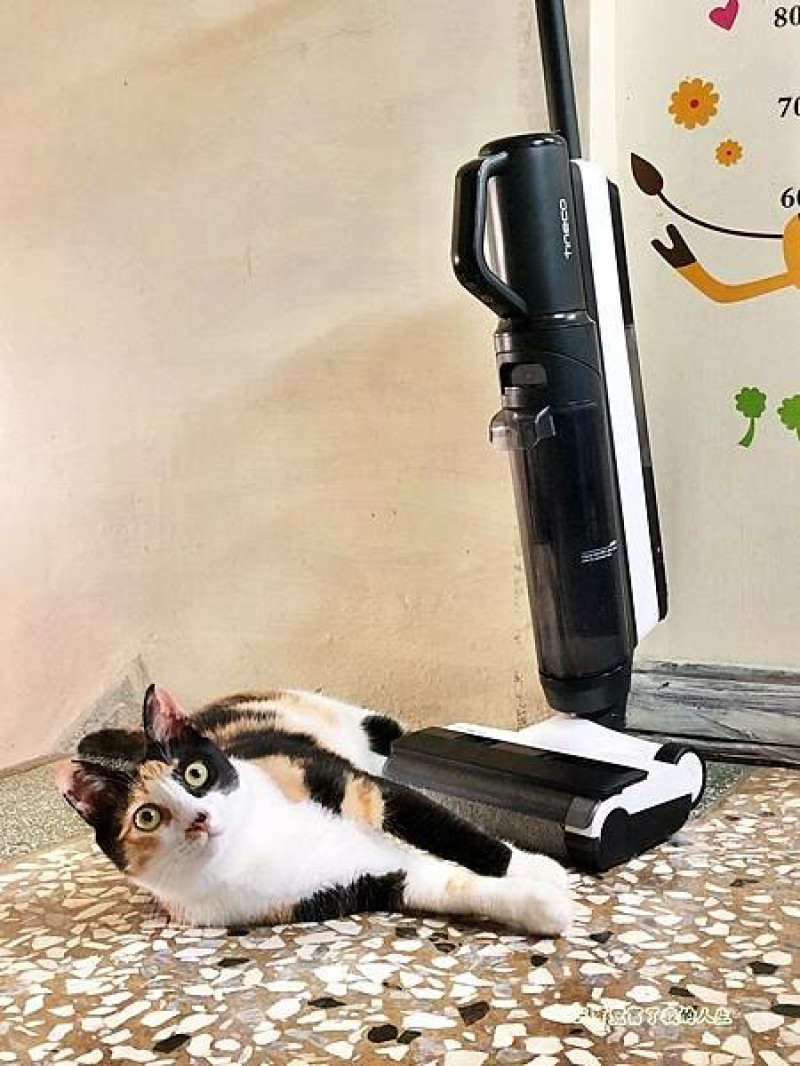 【Tineco添可】FLOOR ONE S5 Combo 智能無線吸水洗地機 掃、拖、吸一台搞定 還有自動清潔功能 聰明又省力