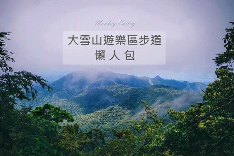 【台中大雪山遊樂區步道懶人包】大雪山林道步道群，中級山看雲海。台中登山步道推薦