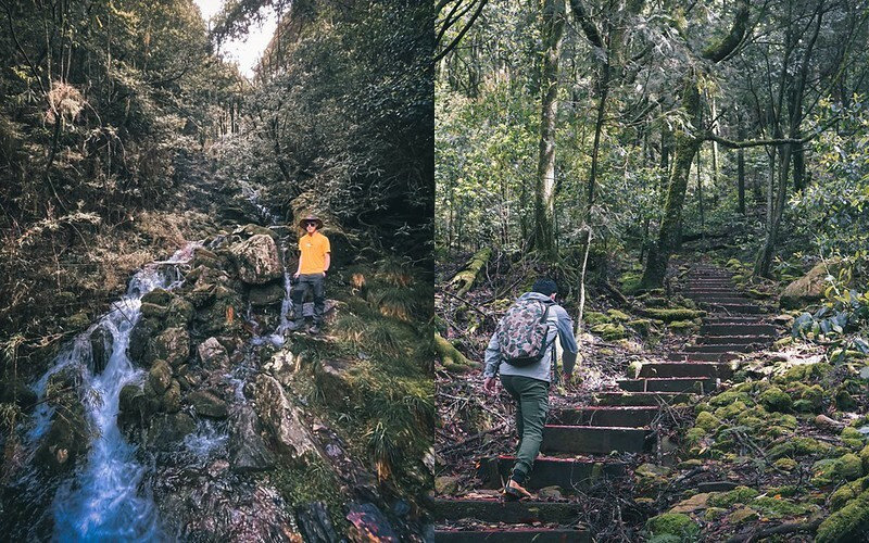 【大雪山國家森林遊樂區】木馬道、鞍馬山O型路線｜人造鐵橋步道享受瀑布森林浴，大雪山遊客中心旁