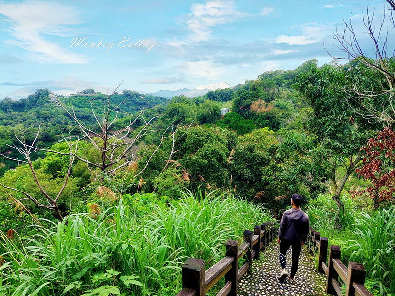 【新田5號登山步道】台中潭子後花園，清幽森林小徑，附廁所停車場