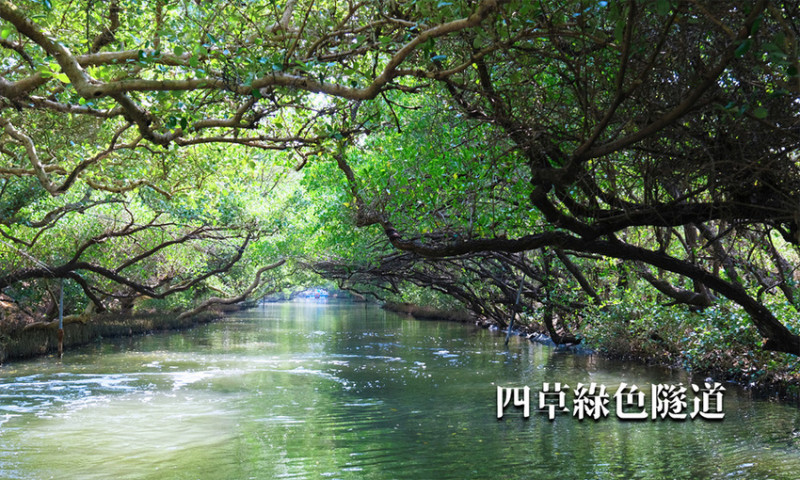 【台南景點】四草綠色隧道絕美河道，門票購買免排隊教學