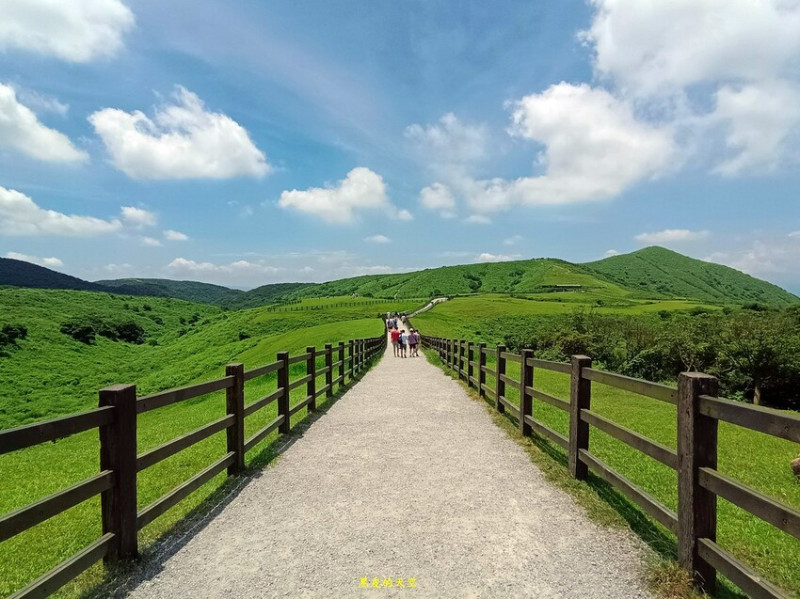【台北士林】冷擎步道／冷水坑／生態池／菁山吊橋／陽明山