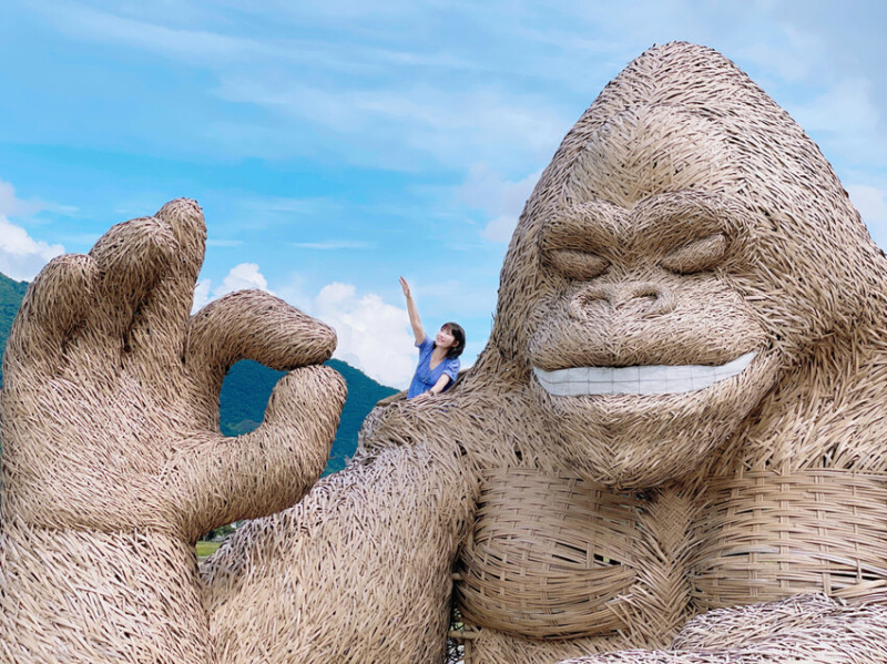 富里稻草藝術節 | 超酷的稻草大猩猩好拍得要命 還能爬到上面跟金剛互動拍照。順便到富里鄉農會展售中心買富里米當伴手禮。花蓮景點