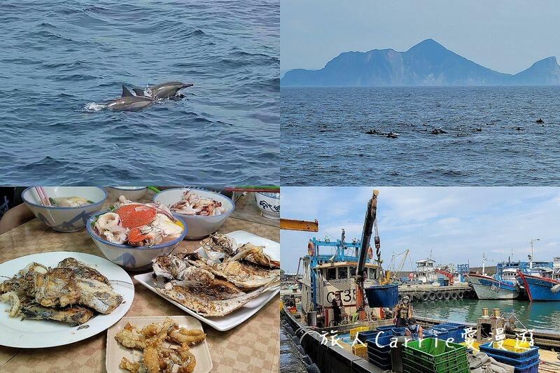 海洋保育署-友善賞鯨之旅〜烏石港搭乘友善賞鯨船‧漁村廚房-漁村特色料理DIY、梗枋魚港巡禮‧川岩 RIVER STONE網美下午茶賞龜山島【宜蘭頭城旅遊】