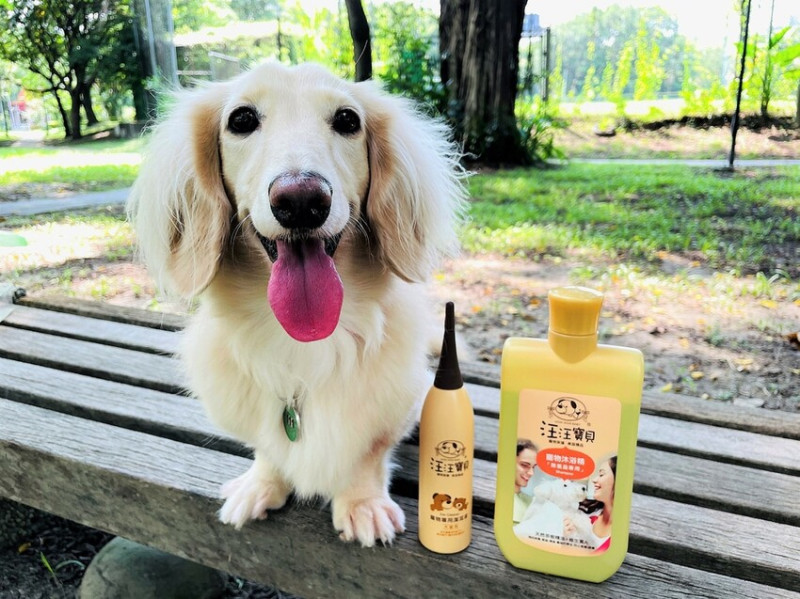 【汪汪寶貝】法式香氛寵愛狗狗洗毛精推薦，韓國專利配方「除蚤」+「抗菌」一瓶搞定！寵物草本植萃潔耳液推薦，狗狗耳道清潔救星！